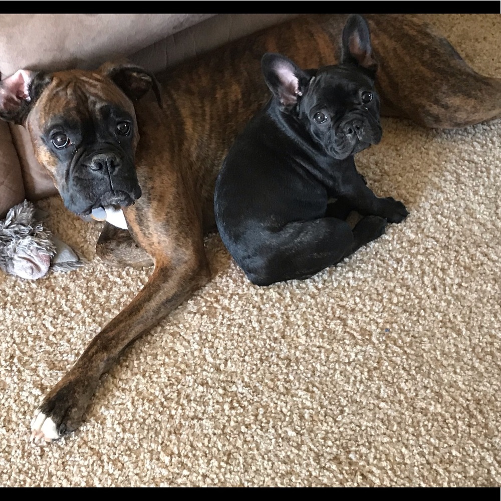 Meet your Posher, Sabrina